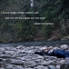 Quotable Quote - Sierra Lewis